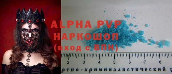 гидра Алексин