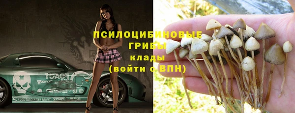 гидра Алексин