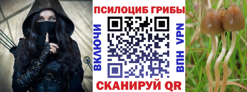 Псилоцибиновые грибы GOLDEN TEACHER  ОМГ ОМГ ССЫЛКА  Сибай 